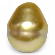 Giant 14.5 x 17.5mm 26.4ct Rich Golden Philippine South Sea Pearl