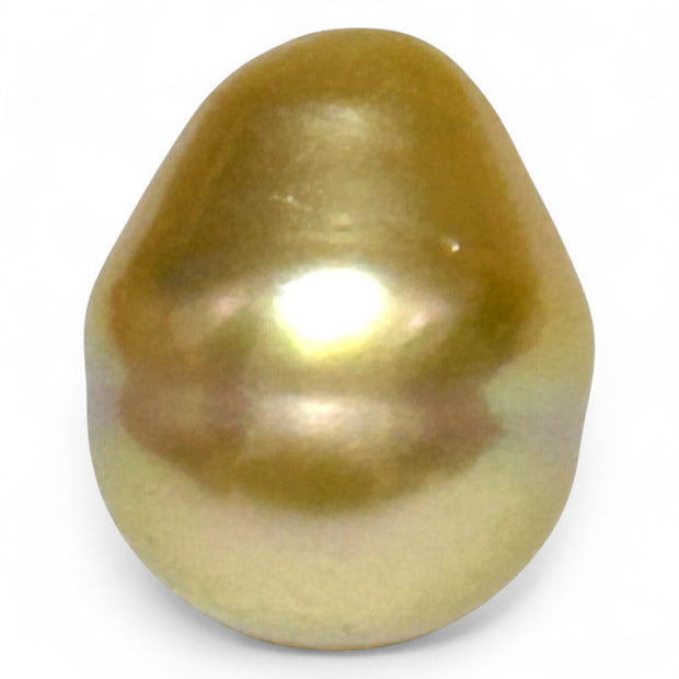 Giant 14.5 x 17.5mm 26.4ct Rich Golden Philippine South Sea Pearl