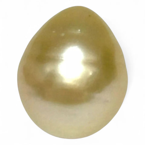 Giant Smooth 15 x 17.9mm 27.8 Carats Gold South Sea Teardrop Pearl