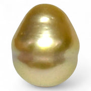 Giant 14.5 x 17.5mm 26.4ct Rich Golden Philippine South Sea Pearl