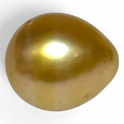 Teardrop 11.6 x 13.3mm 13.2 Carats Deep Gold South Sea Pearl