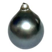 Peacock Middle Gray 13.8 x 17.6mm 21.4 Carats Tahitian South Sea Pearl