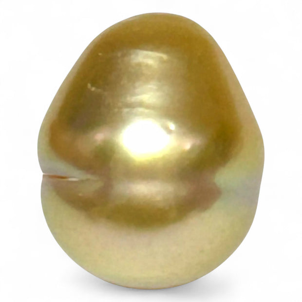Giant 14.5 x 17.5mm 26.4ct Rich Golden Philippine South Sea Pearl