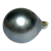 Peacock Middle Gray 13.8 x 17.6mm 21.4 Carats Tahitian South Sea Pearl