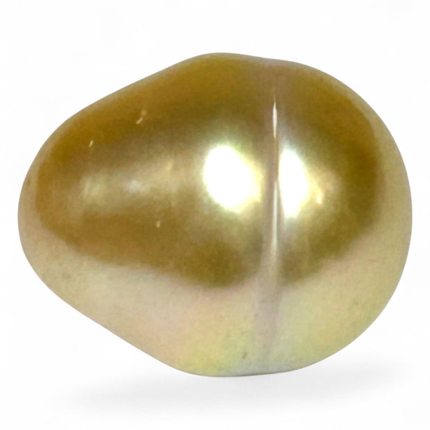 Giant 14.5 x 17.5mm 26.4ct Rich Golden Philippine South Sea Pearl