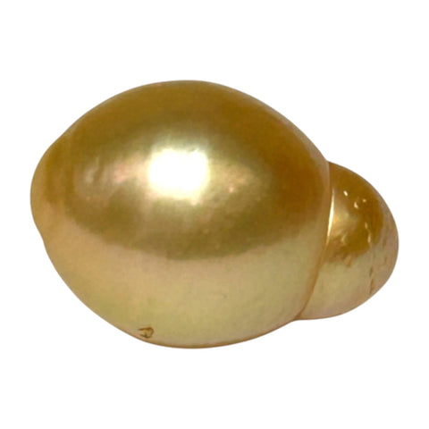 Oval 12.3 x 17.3mm 15.9ct Rich Golden Philippines South Sea Pearl