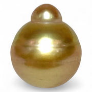 Grand 14.5 x 17mm, 23.3 Carats Deep Golden Philippines Sea Pearl Loose