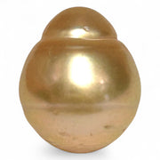 Radiant 18.8ct 13.5x16mm Rich Golden Philippine South Sea Pearl Loose