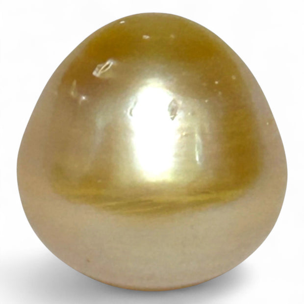 Oval Drop 16.1 x 16.4mm 29.2 Carats Rich Gold South Sea Pearl Loose