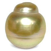 Grand 15.7 x 17.6mm 30 Carat Golden Philippines South Sea Pearl Loose