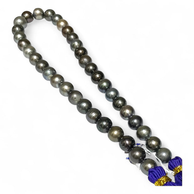Round 10 - 12mm 38 pcs Multicolors Tahitian South Sea Pearl 16" Strand