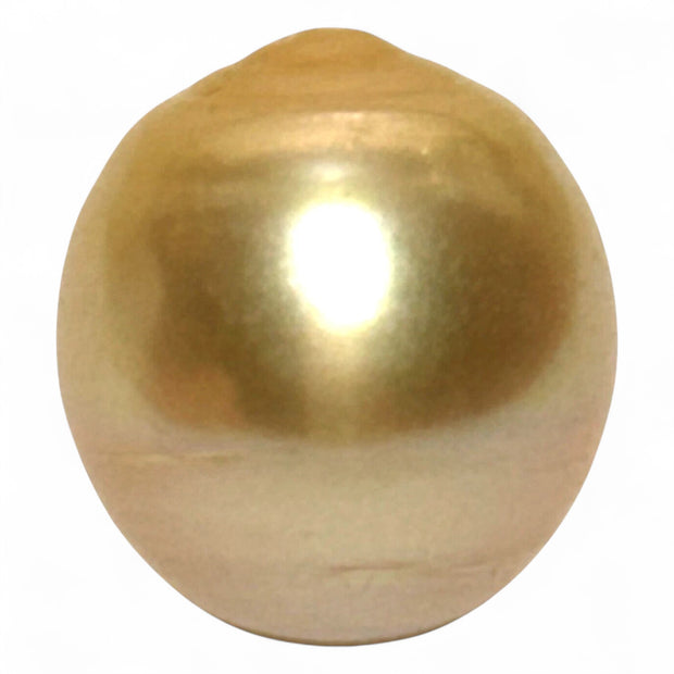 Giant 15.2 x 16.6mm 26.7 Carats Rich Golden South Sea Pearl Loose