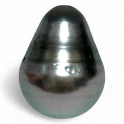 Stunning 12.1 x 15.9mm Teardrop Bottom Round Tahitian South Sea pearl