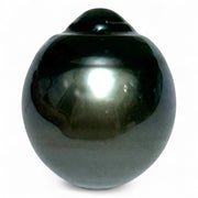 Oval 21.8 Carats 14 x 16.2mm Tahitian South Sea Peacock Black Pearl