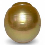 Large 14.2 x 15.6mm 21.7 Carats Deep Gold Philippines South Sea Pearl