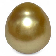 14.8 x 16.4mm 25.8 Carats Rich Gold South Sea Pearl Un-Drilled