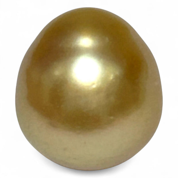 14.8 x 16.4mm 25.8 Carats Rich Gold South Sea Pearl Un-Drilled