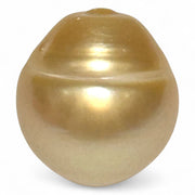 Giant Rich Golden 14.1 x 15.2mm 21.06 Carats South Sea Pearl Loose