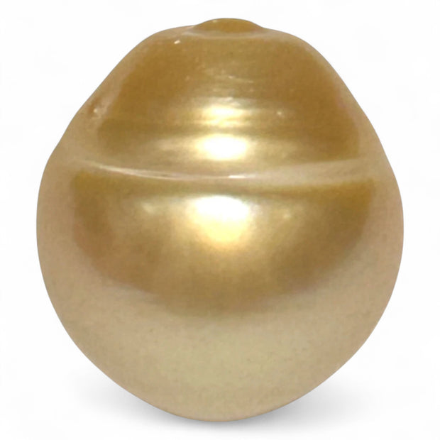 Giant Rich Golden 14.1 x 15.2mm 21.06 Carats South Sea Pearl Loose