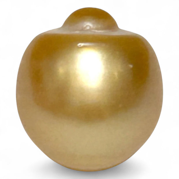 Giant 14.6 x 16mm 23.67 Carat Rich Golden Oval South Sea Loose Pearl