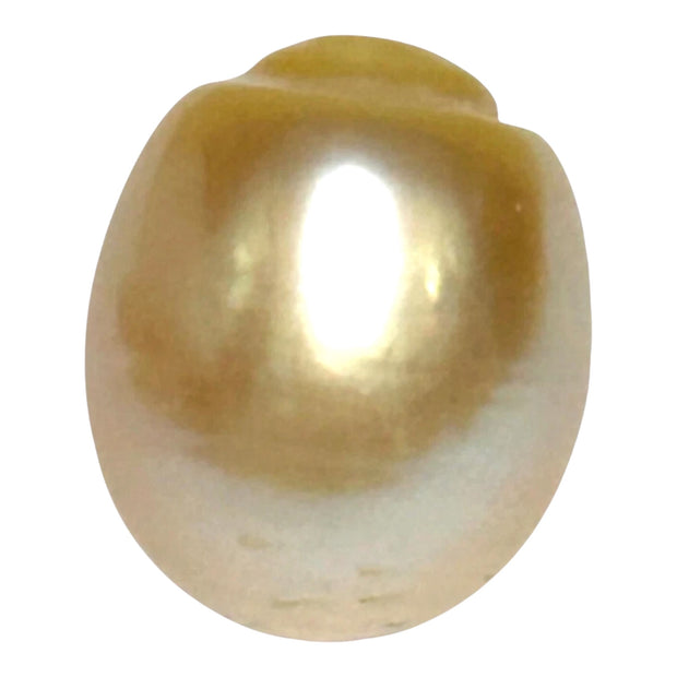Giant 13.9 x 16.4mm 23.6 Carats Gold South Sea Pearl Loose