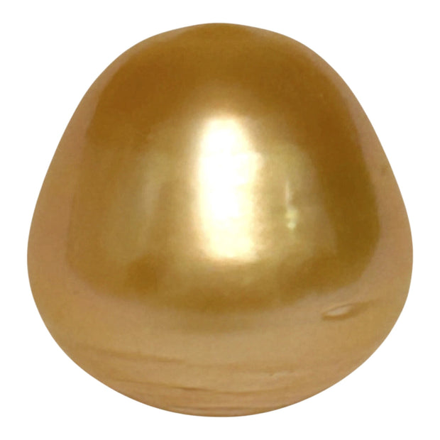Enormous 14.9 x 15.2mm 23.5 Carat Deep Gold Philippines South Sea Pearl