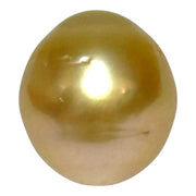 Giant 14.3 x 15.8mm 23.4ct Natural Deep Gold South Sea Pearl Loose