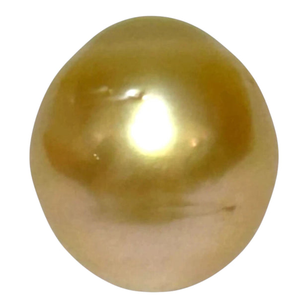 Giant 14.3 x 15.8mm 23.4ct Natural Deep Gold South Sea Pearl Loose