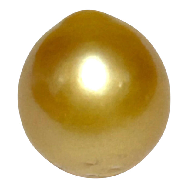 Unique 13.6 x 15mm 19.8 Carats Philippines South Sea Gold Oval Pearl