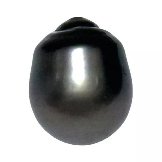 Giant 12.9 x 15.9mm 18.3 cts Tahitian Peacock Black-Green Pearl Loose