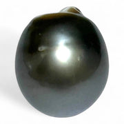 Massive Oval 25.7 Carat 14.5 x 16.5mm Peacock Gray Tahitian Pearl