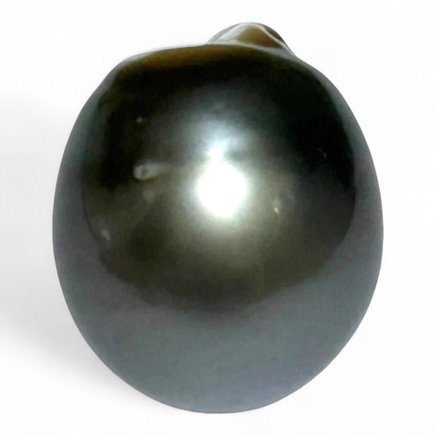 Massive Oval 25.7 Carat 14.5 x 16.5mm Peacock Gray Tahitian Pearl