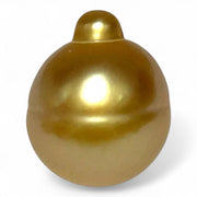 Giant 14 x 17.2mm 23.3ct Rich Golden Philippine South Sea Loose Pearl