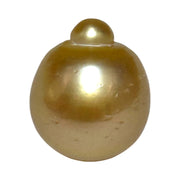 RARE Giant 16.3 x 19.1mm 33.7 Carats Deep Gold South Sea Pearl Loose