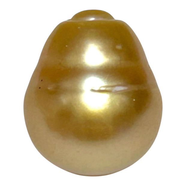 Giant 14.6 x 17.3mm 26.4 Carats Deep Golden Philippines Sea Pearl