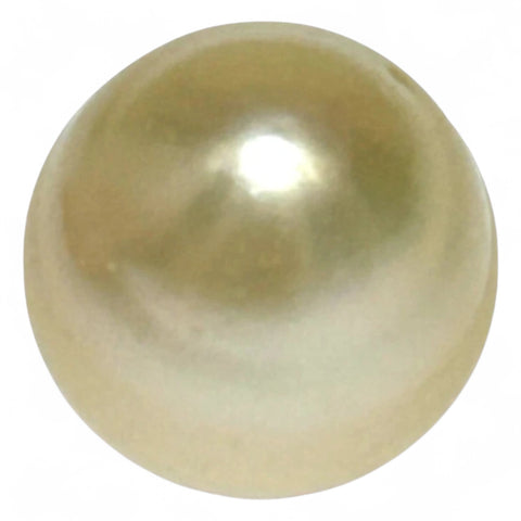 Giant Smooth 15 x 17.9mm 27.8 Carats Gold South Sea Teardrop Pearl
