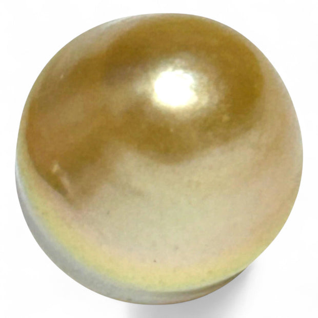 Giant 14.5 x 17.5mm 26.4ct Rich Golden Philippine South Sea Pearl
