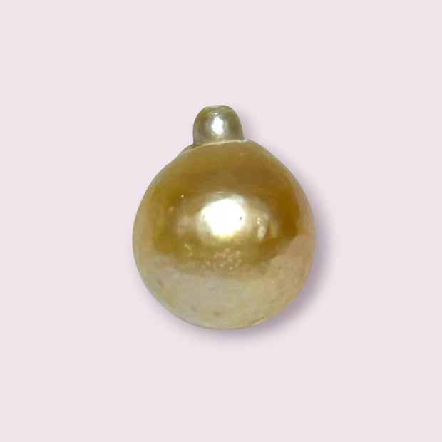 Oval 12.5 x 15mm 14.7 Carats Pale Gold Australia South Sea Pearl Loose