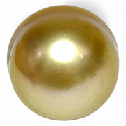 Giant 14.5 x 17.5mm 26.4ct Rich Golden Philippine South Sea Pearl