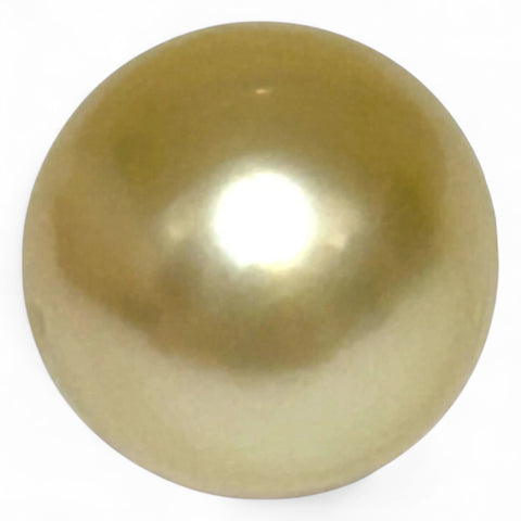 Giant Smooth 15 x 17.9mm 27.8 Carats Gold South Sea Teardrop Pearl