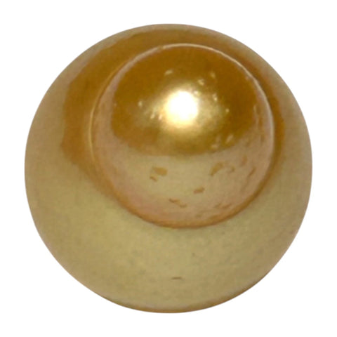 Oval 12.3 x 17.3mm 15.9ct Rich Golden Philippines South Sea Pearl