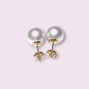 Exquisite 10 - 10.5mm White Round Edison Cultured Pearl Stud Earrings