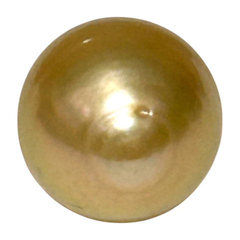 Oval 12.3 x 17.3mm 15.9ct Rich Golden Philippines South Sea Pearl