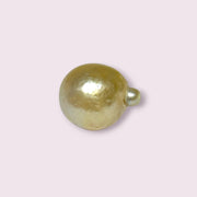 Oval 12.5 x 15mm 14.7 Carats Pale Gold Australia South Sea Pearl Loose