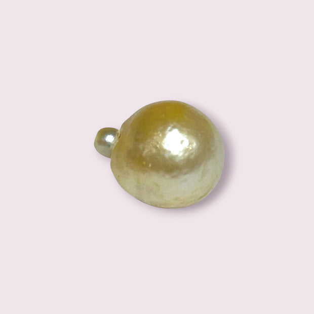Oval 12.5 x 15mm 14.7 Carats Pale Gold Australia South Sea Pearl Loose