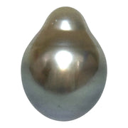 Glorious 14.6 Carat 12 x 15.7mm Tahitian Peacock Grey Green Drop Pearl