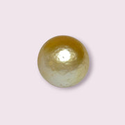 Oval 12.5 x 15mm 14.7 Carats Pale Gold Australia South Sea Pearl Loose