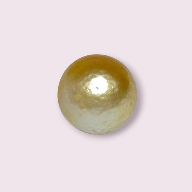 Oval 12.5 x 15mm 14.7 Carats Pale Gold Australia South Sea Pearl Loose