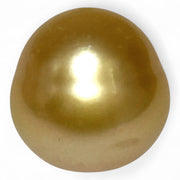Oval Giant 19.8 Carats 13.9 x 14.2mm Deep Gold South Sea Loose Pearl