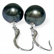 Chic 11.4mm Peacock Black Tahitian Sea Round Pearl Dangle Earrings